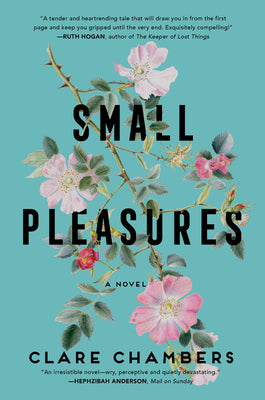 Cover Image for Small Pleasures -- Clare Chambers, Paperback