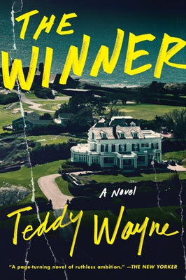 Cover Image for The Winner -- Teddy Wayne, Paperback