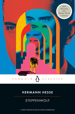 Cover Image for Steppenwolf -- Hermann Hesse, Paperback