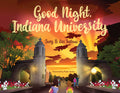 Cover Image for Good Night, Indiana University -- Joey Lax Salinas, Hardcover