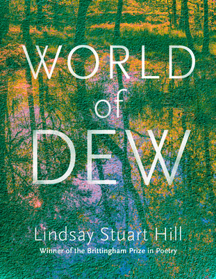 Cover Image for World of Dew -- Lindsay Stuart Hill, Paperback