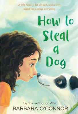 Cover Image for How to Steal a Dog -- Barbara O'Connor, Paperback