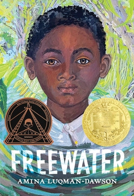 Cover Image for Freewater (Newbery & Coretta Scott King Award Winner) -- Amina Luqman-Dawson, Paperback