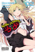 Cover Image for High School DXD, Vol. 2: Volume 2 -- Hiroji Mishima, Paperback
