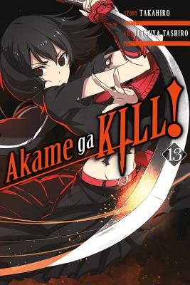 Cover Image for Akame Ga Kill!, Vol. 13 -- Takahiro, Paperback
