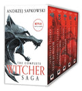 Cover Image for The Witcher Boxed Set: Blood of Elves, the Time of Contempt, Baptism of Fire, the Tower of Swallows, the Lady of the Lake -- Andrzej Sapkowski, Paperback