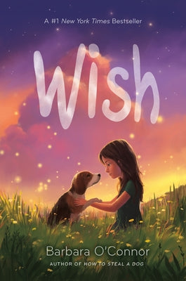 Cover Image for Wish -- Barbara O'Connor, Hardcover