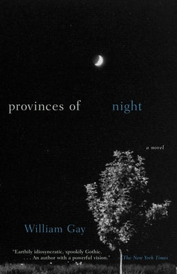 Cover Image for Provinces of Night -- William Gay, Paperback