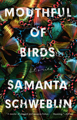 Cover Image for Mouthful of Birds: Stories -- Samanta Schweblin, Paperback