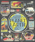 Cover Image for The Wondrous Workings of Planet Earth: Understanding Our World and Its Ecosystems -- Rachel Ignotofsky, Hardcover