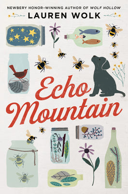 Cover Image for Echo Mountain -- Lauren Wolk, Paperback