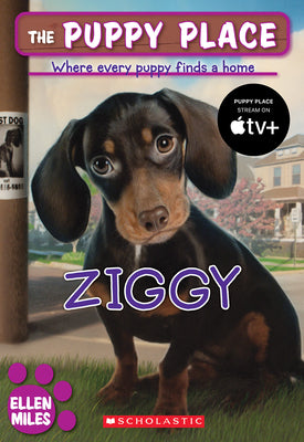 Cover Image for Ziggy (the Puppy Place #21): Volume 21 -- Ellen Miles, Paperback