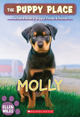 Cover Image for Molly (the Puppy Place #31): Volume 31 -- Ellen Miles, Paperback
