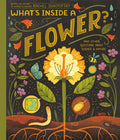 Cover Image for What's Inside a Flower?: And Other Questions about Science & Nature -- Rachel Ignotofsky, Hardcover