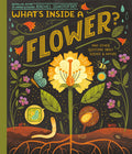 Cover Image for What's Inside a Flower?: And Other Questions about Science & Nature -- Rachel Ignotofsky, Paperback