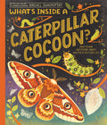 Cover Image for What's Inside a Caterpillar Cocoon?: And Other Questions about Moths & Butterflies -- Rachel Ignotofsky, Hardcover