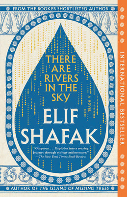 Cover Image for There Are Rivers in the Sky -- Elif Shafak, Paperback