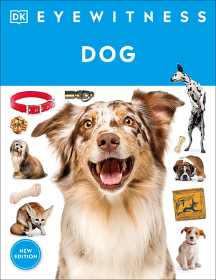 Cover Image for Eyewitness Dog -- DK, Paperback