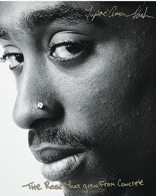 Cover Image for The Rose That Grew from Concrete -- Tupac Shakur, Hardcover