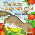 Cover Image for Busy Little Squirrel -- Nancy Tafuri, Hardcover