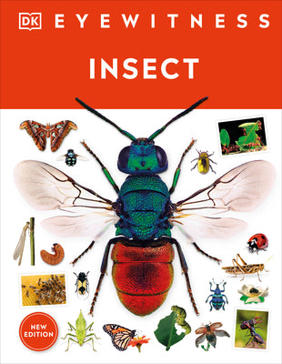 Cover Image for Eyewitness Insect -- DK, Hardcover