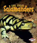 Cover Image for Salamanders -- Robin Nelson, Paperback