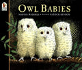 Cover Image for Owl Babies -- Martin Waddell, Paperback
