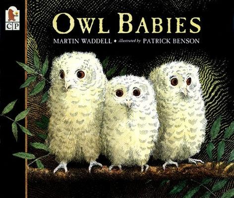 Cover Image for Owl Babies -- Martin Waddell, Paperback
