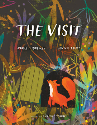 Cover Image for The Visit -- Núria Figueras, Hardcover