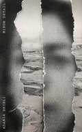 Cover Image for Minor Detail -- Adania Shibli, Paperback
