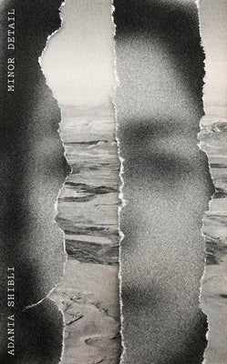 Cover Image for Minor Detail -- Adania Shibli, Paperback