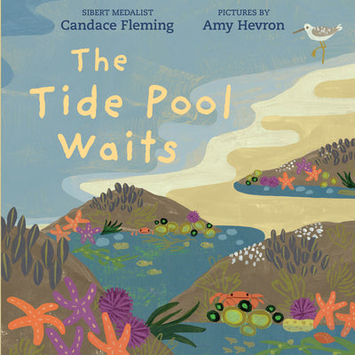 Cover Image for The Tide Pool Waits -- Candace Fleming, Paperback
