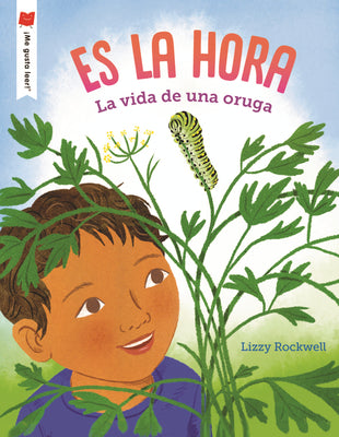 Cover Image for Es La Hora: La Vida de Una Oruga -- Lizzy Rockwell, Paperback