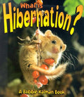 Cover Image for What is Hibernation? -- John Crossingham, Paperback