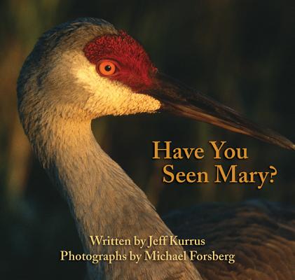 Cover Image for Have You Seen Mary? -- Jeff Kurrus, Paperback