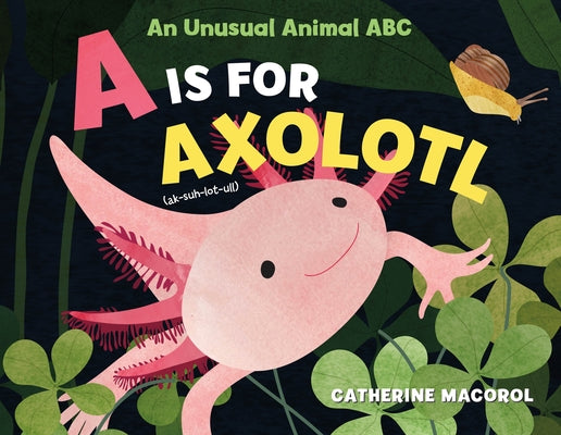 Cover Image for A is for Axolotl: An Unusual Animal ABC -- Catherine Macorol, Hardcover