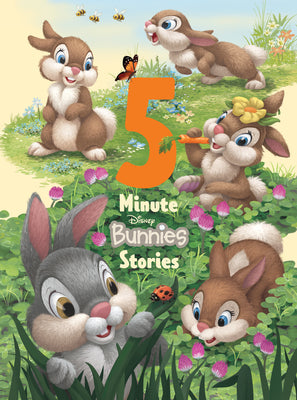 Cover Image for 5-Minute Disney Bunnies Stories -- Disney Books, Hardcover