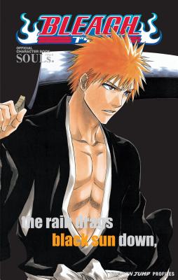 Cover Image for Bleach: Souls. Official Character Book [With Stickers] -- Tite Kubo, Paperback