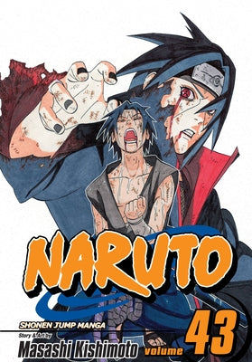 Cover Image for Naruto, Vol. 43 -- Masashi Kishimoto, Paperback