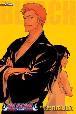 Cover Image for Bleach (2-In-1 Edition), Vol. 25 -- Tite Kubo, Paperback