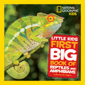 Cover Image for National Geographic Little Kids First Big Book of Reptiles and Amphibians -- Catherine D. Hughes, Hardcover