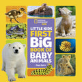 Cover Image for National Geographic Little Kids First Big Book of Baby Animals -- Maya Myers, Hardcover