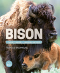 Cover Image for Bison: Community Builders and Grassland Caretakers -- Frances Backhouse, Hardcover