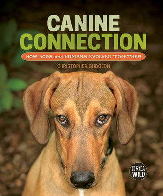 Cover Image for Canine Connection: How Dogs and Humans Evolved Together -- Christopher Gudgeon, Hardcover