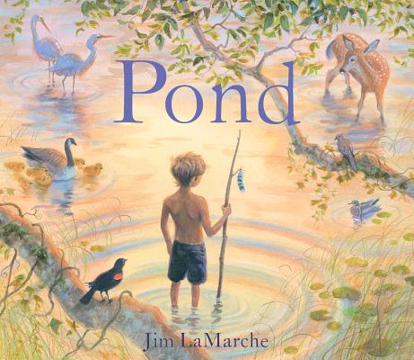 Cover Image for Pond -- Jim LaMarche, Hardcover