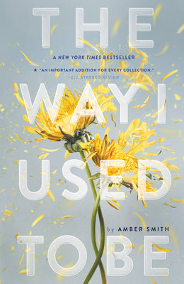 Cover Image for Way I Used to Be -- Amber Smith, Paperback