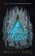Cover Image for A World Below -- Wesley King, Paperback