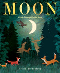 Cover Image for Moon: A Peek-Through Picture Book -- Britta Teckentrup, Hardcover