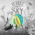 Cover Image for It Fell from the Sky -- Terry Fan, Hardcover