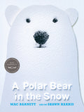 Cover Image for A Polar Bear in the Snow -- Mac Barnett, Hardcover